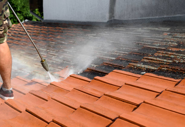 Best Roof Pressure Washing  in Springfield, NJ