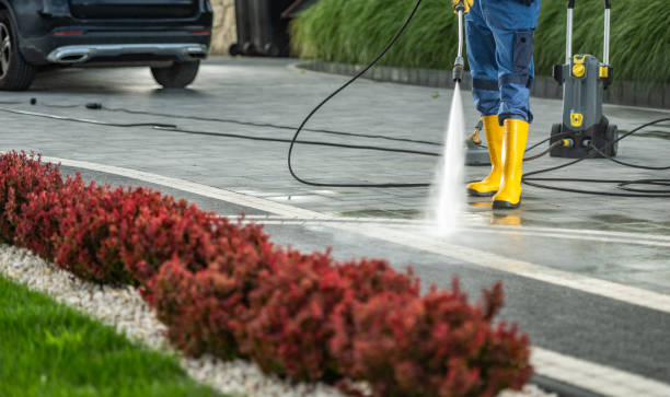 Best Roof Power Washing Services  in Springfield, NJ